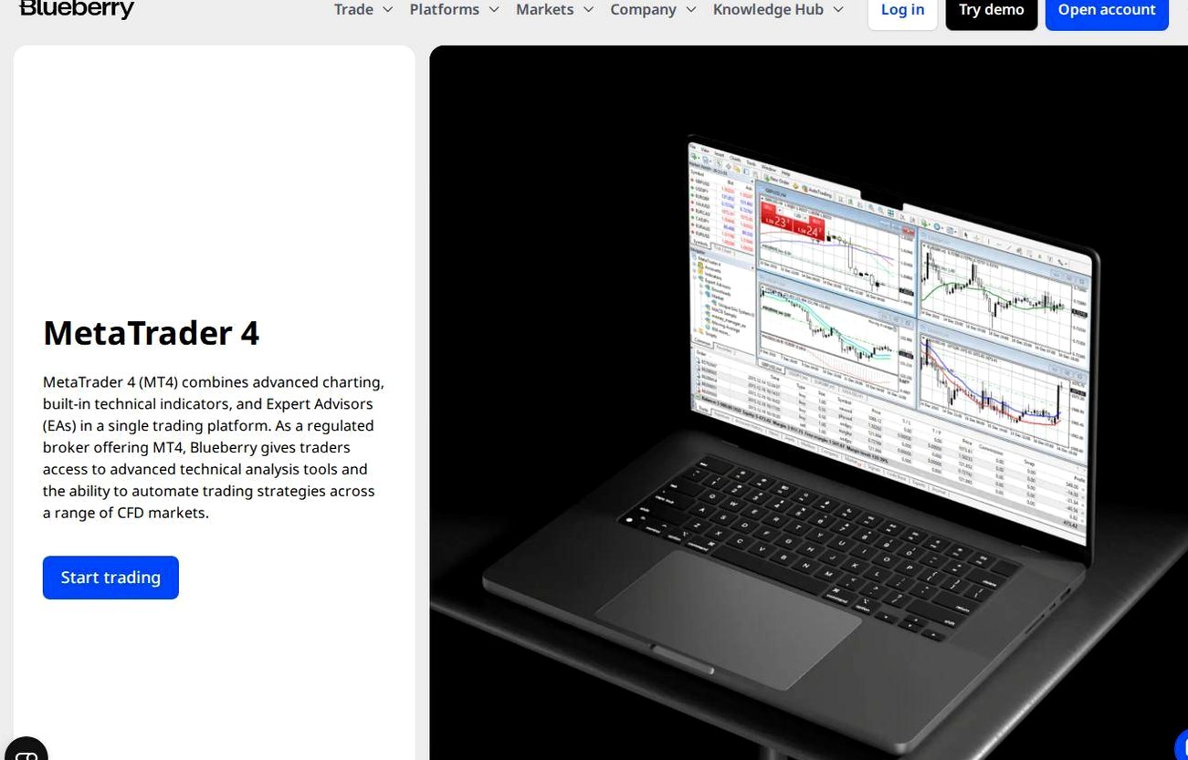 The platform page on the Blueberry Markets website