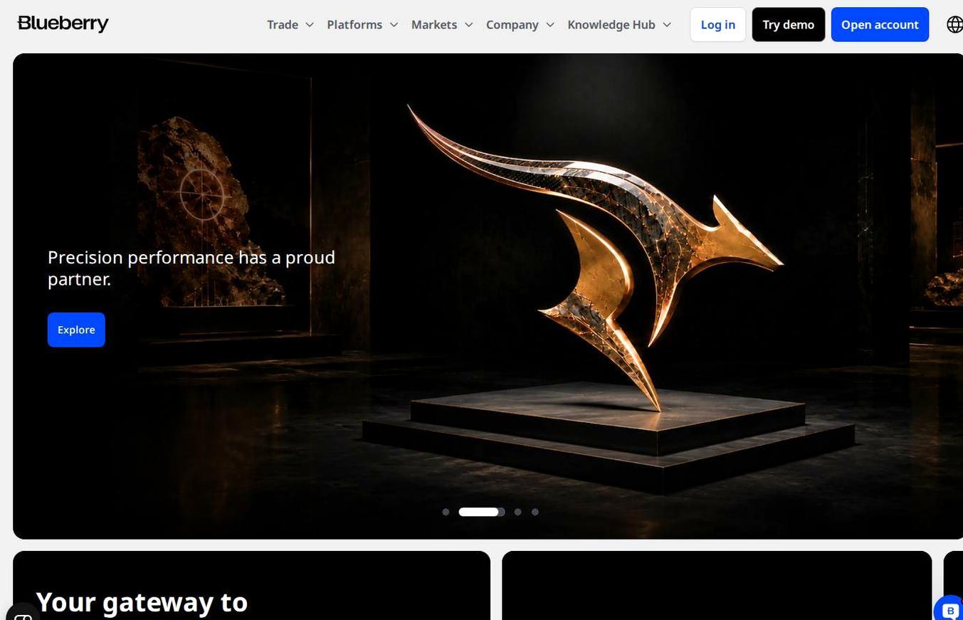 Screenshot of the Blueberry Markets website